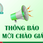 ChaoGia2-150x150.png